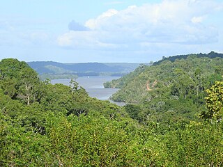 <span class="mw-page-title-main">Jari River</span> River in Pará, Brazil