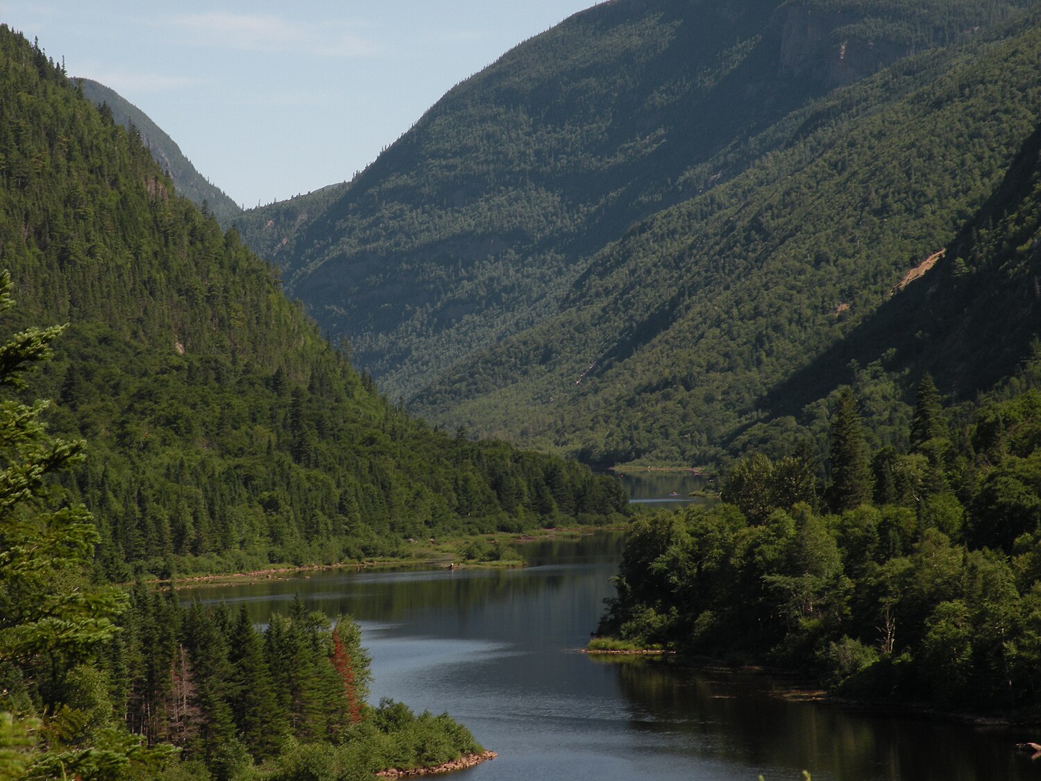 Régions forestières  l'Encyclopédie Canadienne