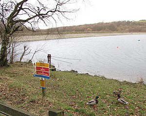 Roddlesworth Reservoir Dam - geograph.org.uk - 1142495.jpg