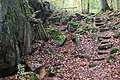 Abstieg zum Abbaubereich des Römersteinbruchs Hohe Buche bei Andernach