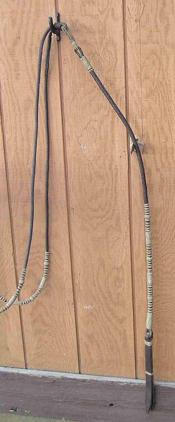 A set of romal reins, featuring a quirt at the end of the romal