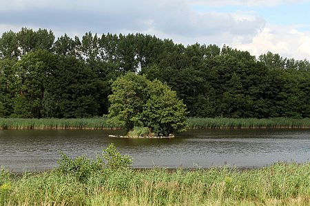 RossendorferTeich Nixeninsel