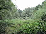 Rowley Green Common