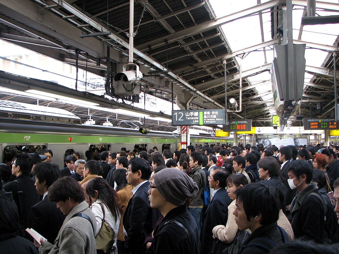 File:Rush hour at Shinjuku 02.JPG