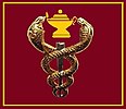 SANDF SAMHS Nurse chest insignia.jpg