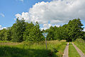 * Nomination Impressionen aus dem Landschaftsschutzgebiet "Hohenfelder Moor" im Kreis Steinburg, Schleswig-Holstein. --Nightflyer 21:32, 31 August 2020 (UTC) * Promotion Good quality. --Seven Pandas 01:23, 1 September 2020 (UTC)