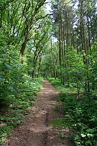 Schleswig-Holstein, Windbergen, Landschaftsschutzgebiet Wodansberg NIK 6714.JPG