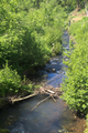 English: Eichelbach (Stream) west of Eschenrod, Schotten, Hesse, Germany This is a picture of the protected area listed at WDPA under the ID 555520885