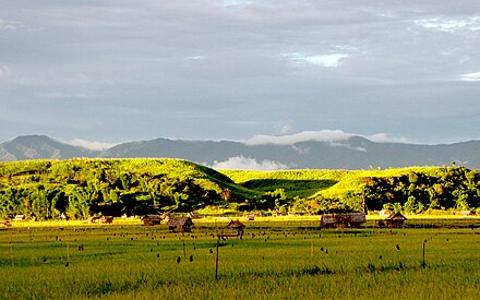 Irrigated rice fields in South Sulawesi Seko paddy field.jpg