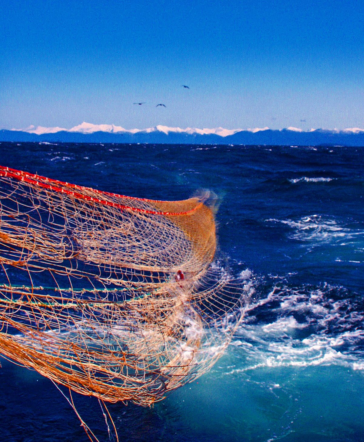 Red Fishing Netting, 12