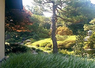 Shofuso Tea Garden Small.jpg