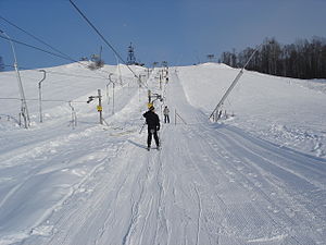 Ski lift in Ohta park.jpg