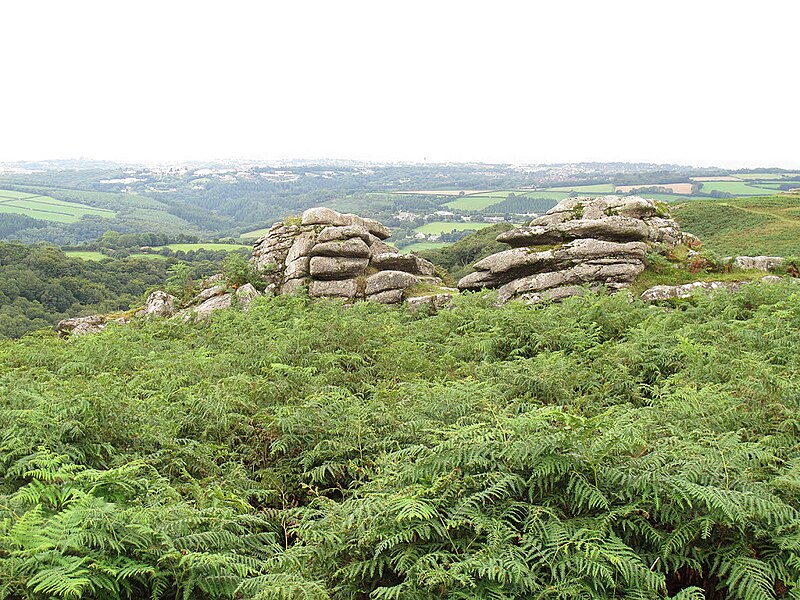 File:Small tor on Wigford Down - geograph.org.uk - 2541796.jpg