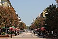 Sofia, Witoscha-Boulevard