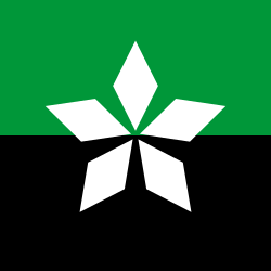 Официальный флаг Соледара