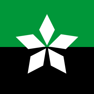 File:Soledar flag.svg