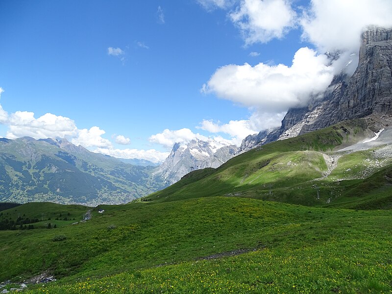 File:Sommerlicher Blick Eiger, Mönch, Jungfraujoch.jpg