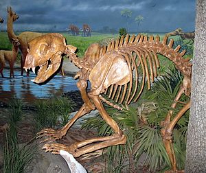 Arctodus: Habitat, Fossils, Behavior