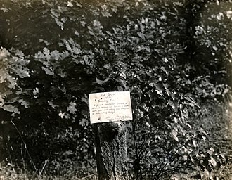 First sign along the Training Trail established by Frank E. Lutz in 1925 at the Harriman State Park Nature Trail Spirit of the Training Trail Sign.jpg