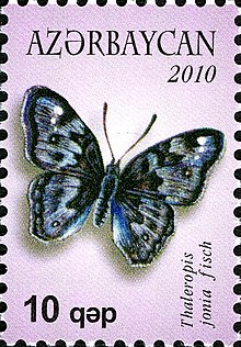 Stamps of Azerbaijan, 2010-888.jpg