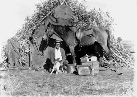 Australian bushman with his dog and horse, c. 1910