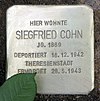 Камень преткновения Schützenstrasse 49 (Stegl) Siegfried Cohn.jpg