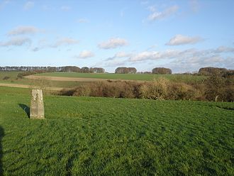 Rotherley Down Stone inside ditch on Rotherley Down - geograph.org.uk - 316299.jpg