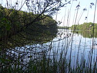 Suhrer See und Umgebung