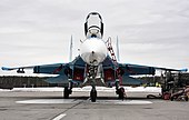 Sukhoi Su-27 B 29 copy.jpg