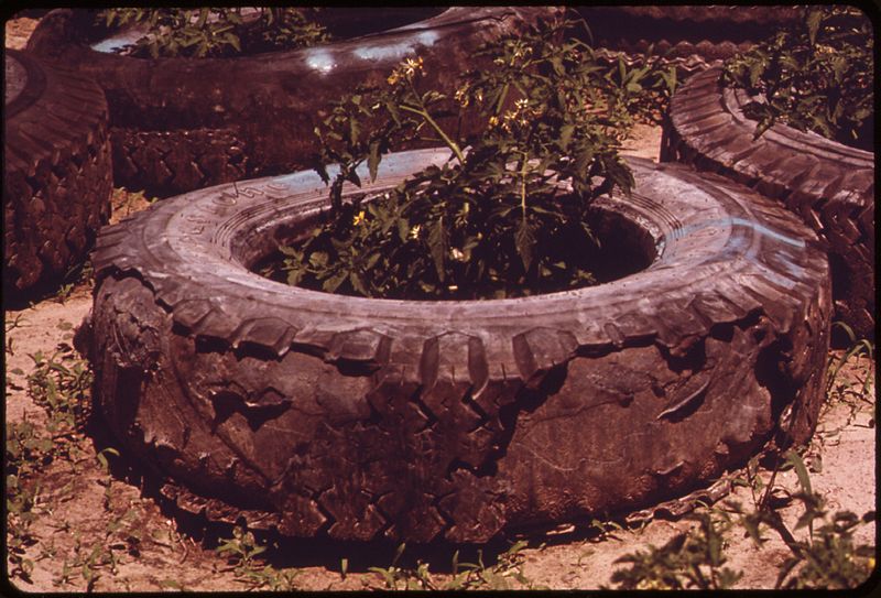 File:THE GREENING OF A JUNK PILE. THESE DISCARDED TIRES MIGHT HAVE ENDED UP LITTERING A FIELD OR POLLUTING A RIVER.... - NARA - 552075.jpg