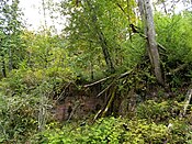 Remnants of factory in the ghost town of Taylor, Washington in September 2018. TaylorWA1-092018.jpg