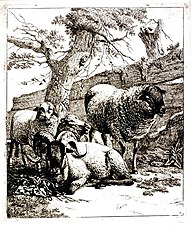 The Sheep at the Foot of A Tree.jpg