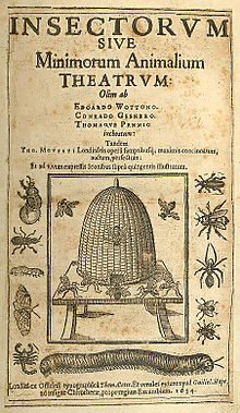 Thomas Muffett's 1634 book The Theatre of Insects Theater of Insects.jpg