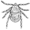 Tick (PSF).png