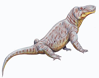 <span class="mw-page-title-main">Titanosuchidae</span> Extinct family of therapsids