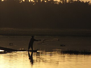 <span class="mw-page-title-main">Tracuateua Marine Extractive Reserve</span>