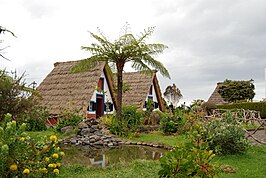 Traditionele huizen met een rietdak in Santana