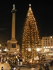 Trafalgar Square Christmas tree, London, United Kingdom.