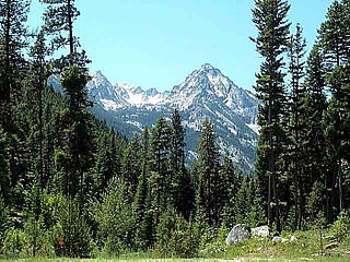 Bitterroot National Forest U.S. Forest across Montana and Idaho