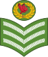 Trinidado kaj Tobago-Army-OR-07.
svg