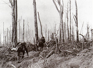 U.S. Marines during the Meuse-Argonne Campaign.jpg