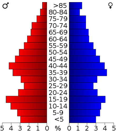 2000 census age pyramid for Jersey County