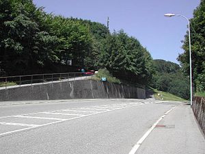 Unterer Hauenstein Pass