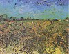 Van Gogh - Der grüne Weinberg.jpeg
