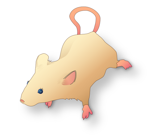 File:Vectorized lab mouse mg 3263 for scientific figures and presentations.svg
