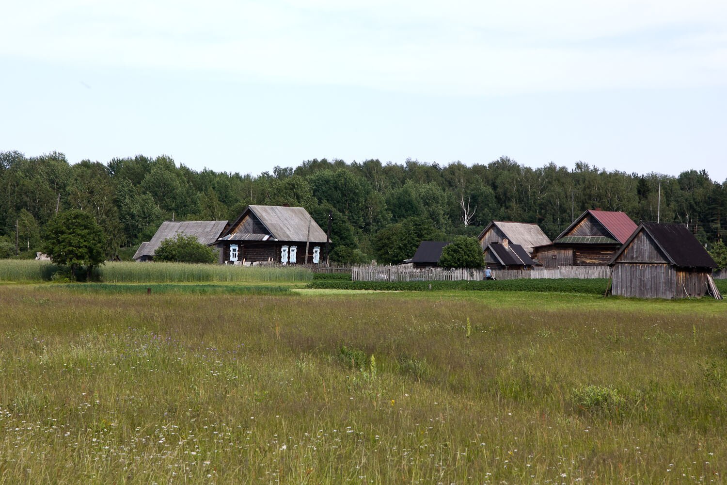 Сайт городецкого района нижегородской области. Федуринский сельсовет Нижегородская область. Митрофаново Городецкий район деревня. Федурино Нижегородская область Городецкий район сельсовет. Деревня Петухово Городецкий район.