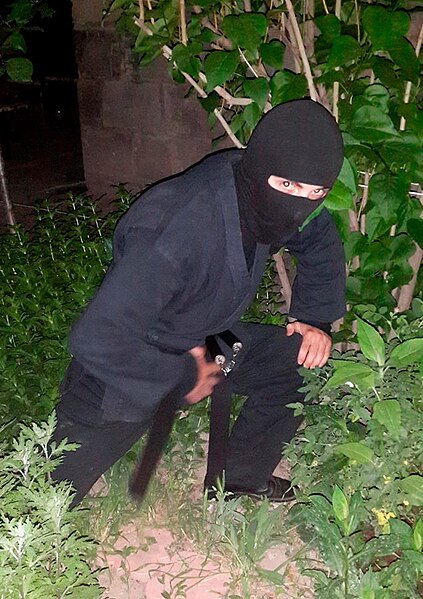 File:Vladimir Dashyan Armenian Ninja.jpg