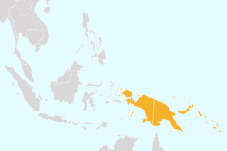 <span class="mw-page-title-main">Papuasia</span> Biogeographic region