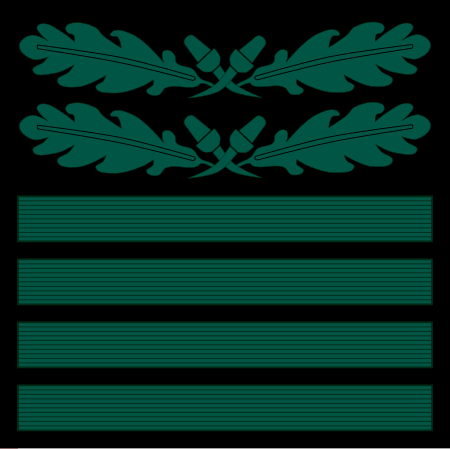 ไฟล์:SS-Oberführer-camo.svg