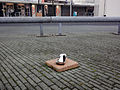 Lost ladies shoe at Plein, Wateringen